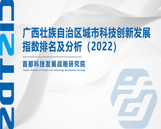 日本女人操比网站【成果发布】广西壮族自治区城市科技创新发展指数排名及分析（2022）